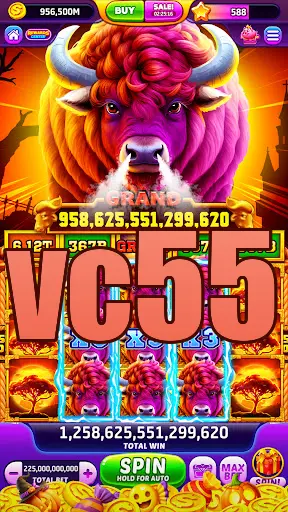 vc55 APK